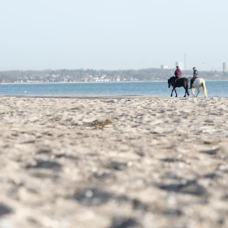Wohnpark Am Muehlenteich - 29 Apartment Timmendorfer Strand