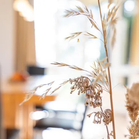 Wohnpark Am Muehlenteich - 29 *