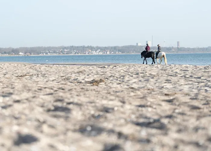 Wohnpark Am Muehlenteich - 29 Lägenhet Timmendorfer Strand