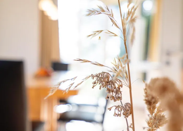 Wohnpark Am Muehlenteich - 29 *